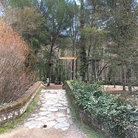 Nacimiento Del Hueznar - Tomillo 17 San Nicolas del Puerto
