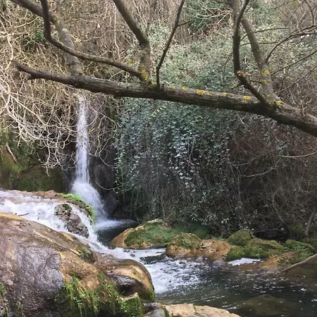 Nacimiento Del Hueznar - Tomillo 17 * San Nicolas del Puerto